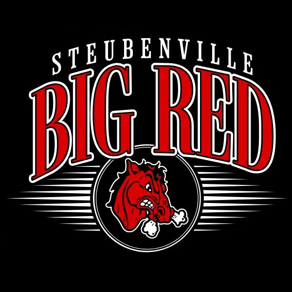 School logo placeholder